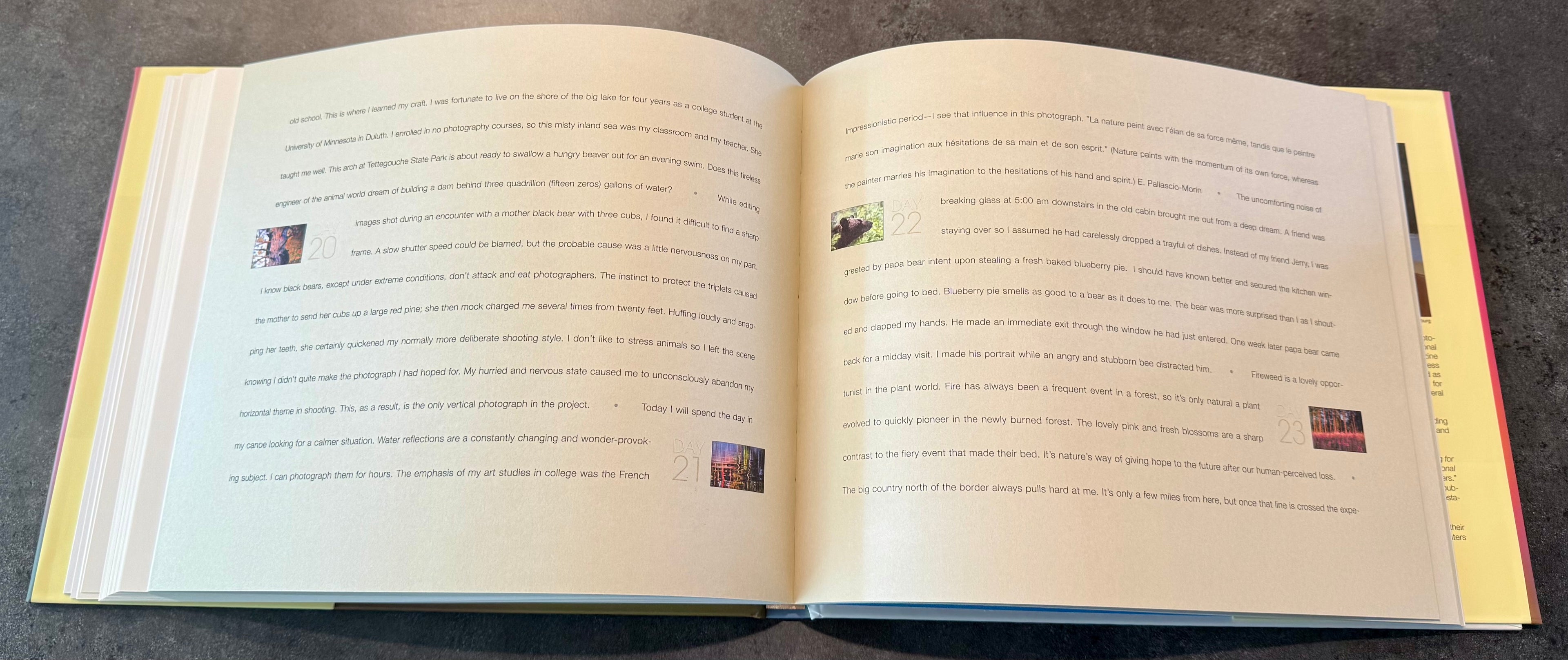 Looking for the Summer - hardcover edition
