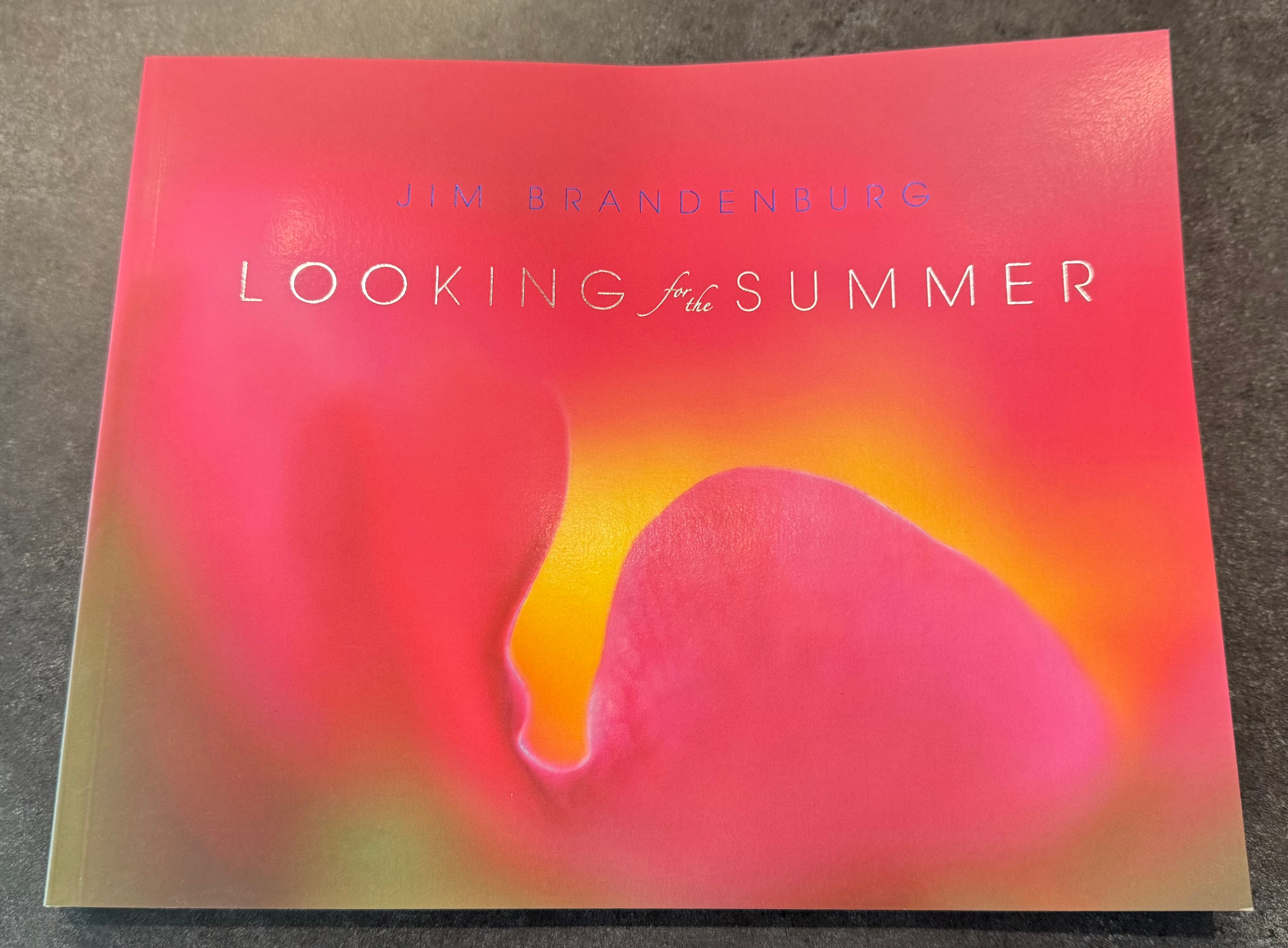 Looking for the Summer - paperback edition