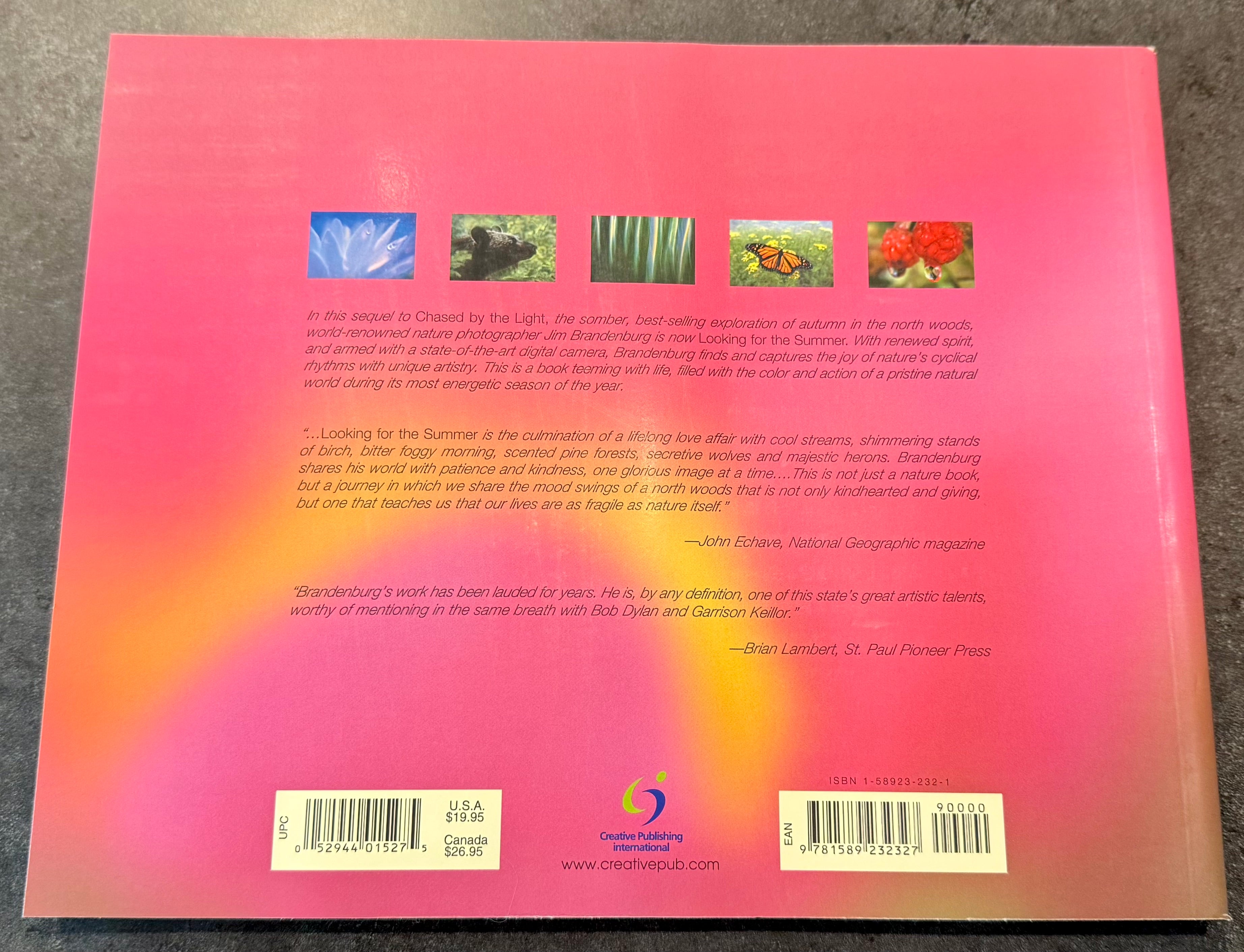Looking for the Summer - paperback edition