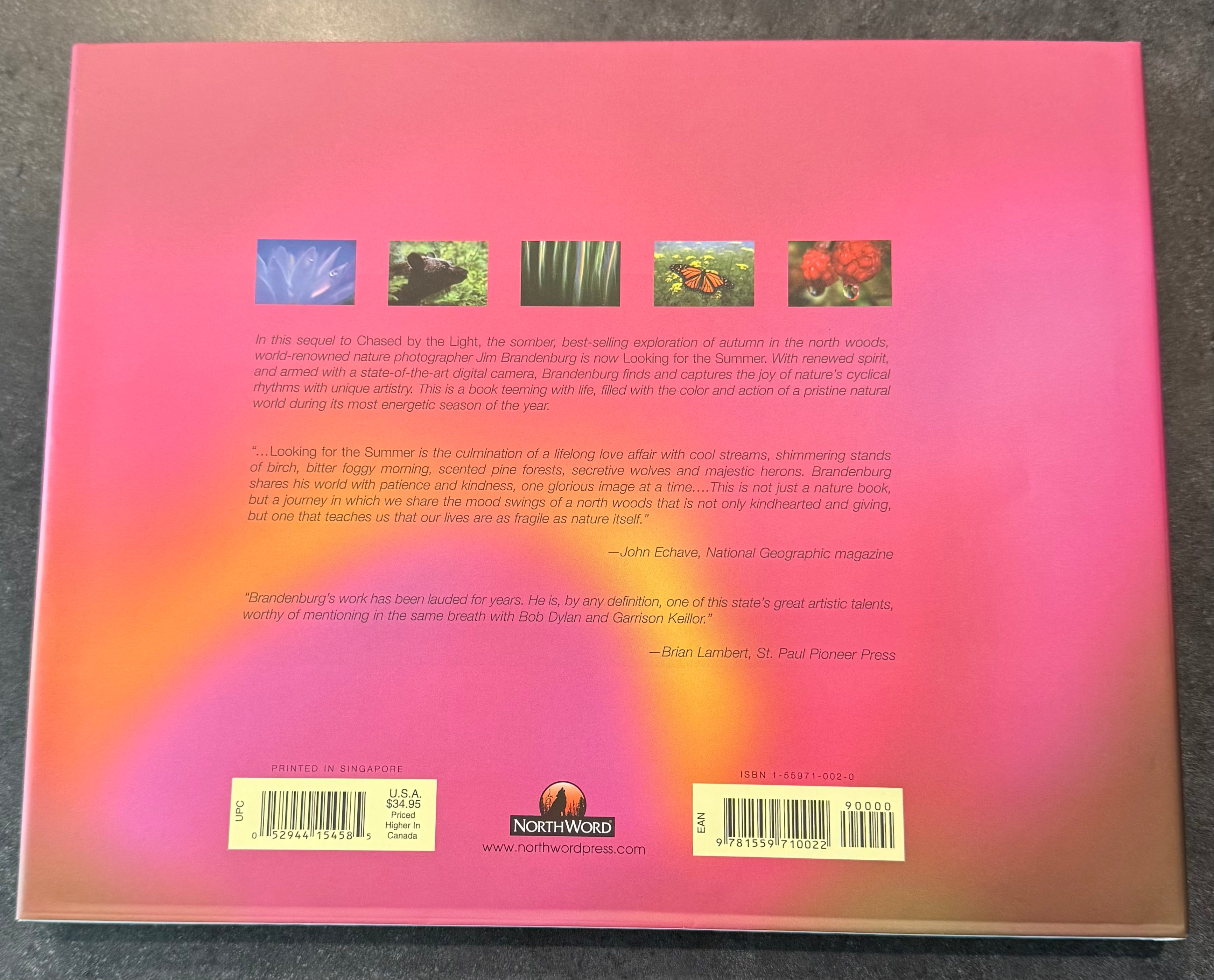 Looking for the Summer - hardcover edition