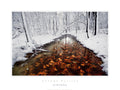 Autumn Passing Poster