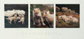 Family Portrait Poster