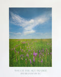 Touch the Sky Poster
