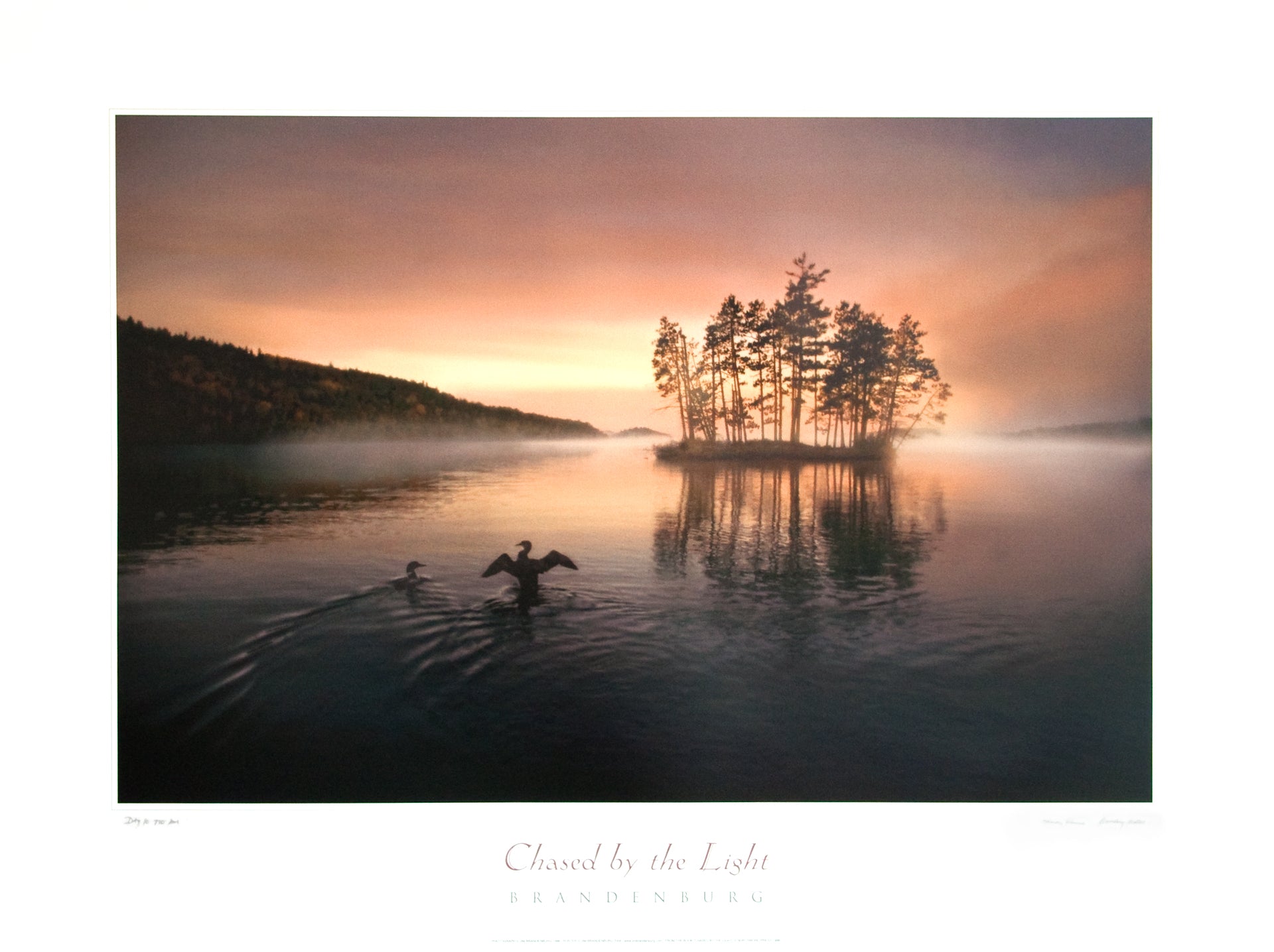 Chased by the Light Poster