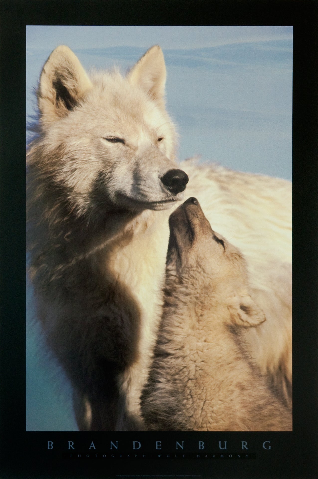 Wolf Harmony Poster